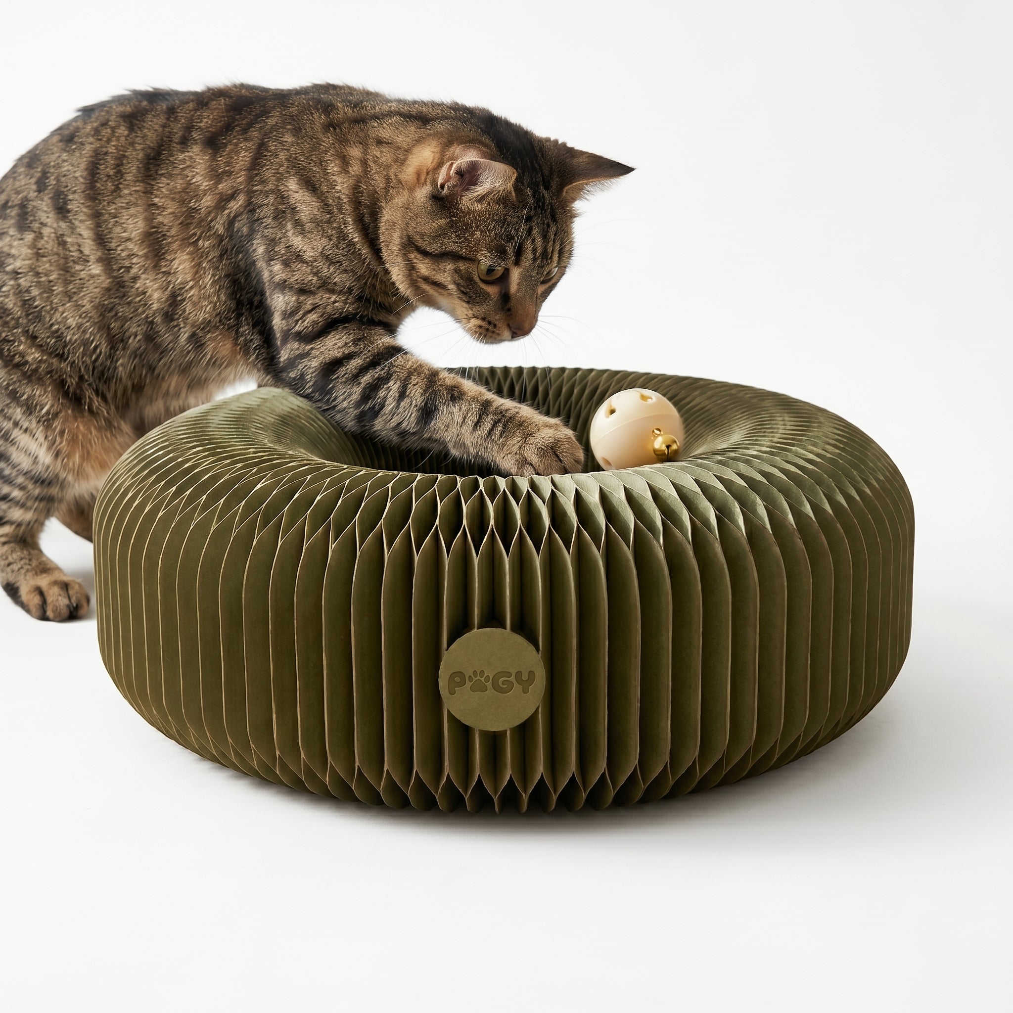 Arranhador ondulado com bolinha para gatos Pugy — gato arranhando e brincando com bolinha