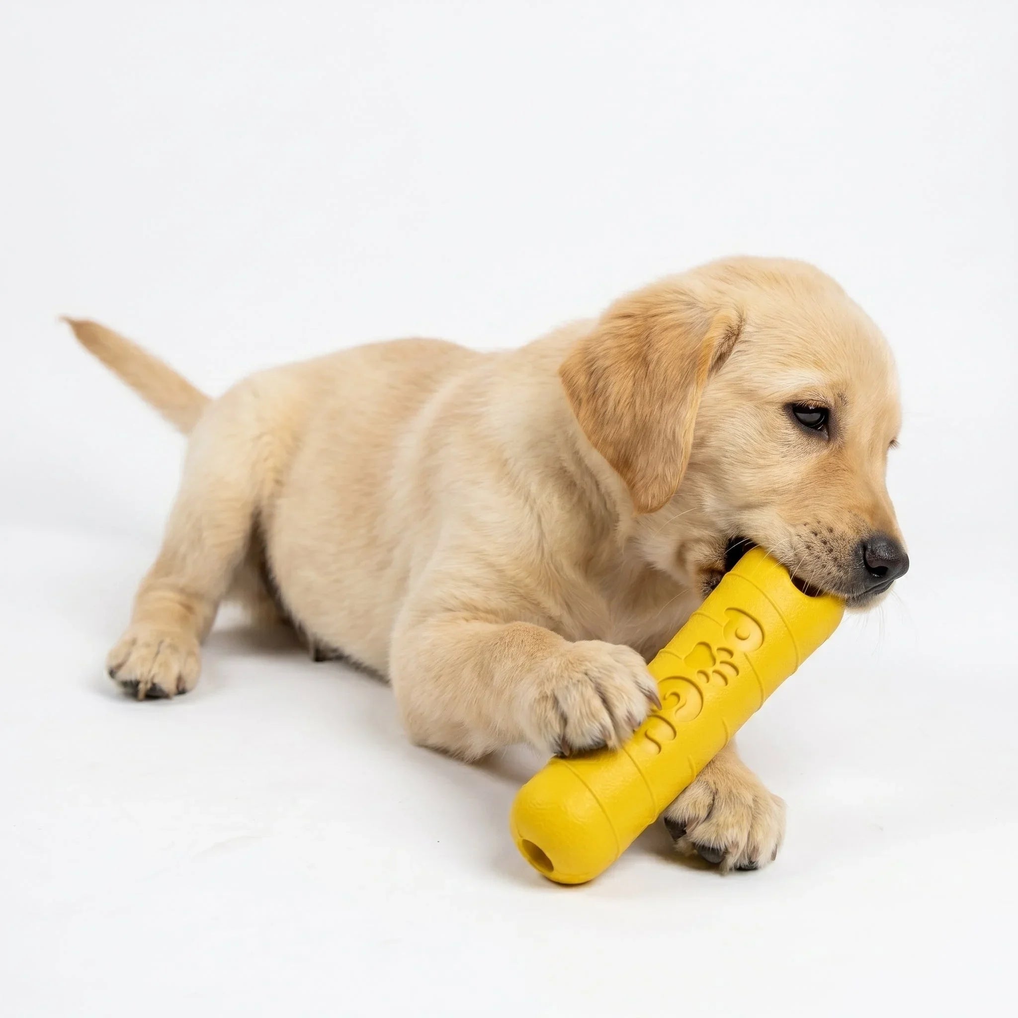 Bastão mastigável EVA inquebrável para cães grandes Pugy — fundo branco mostrando resistência
