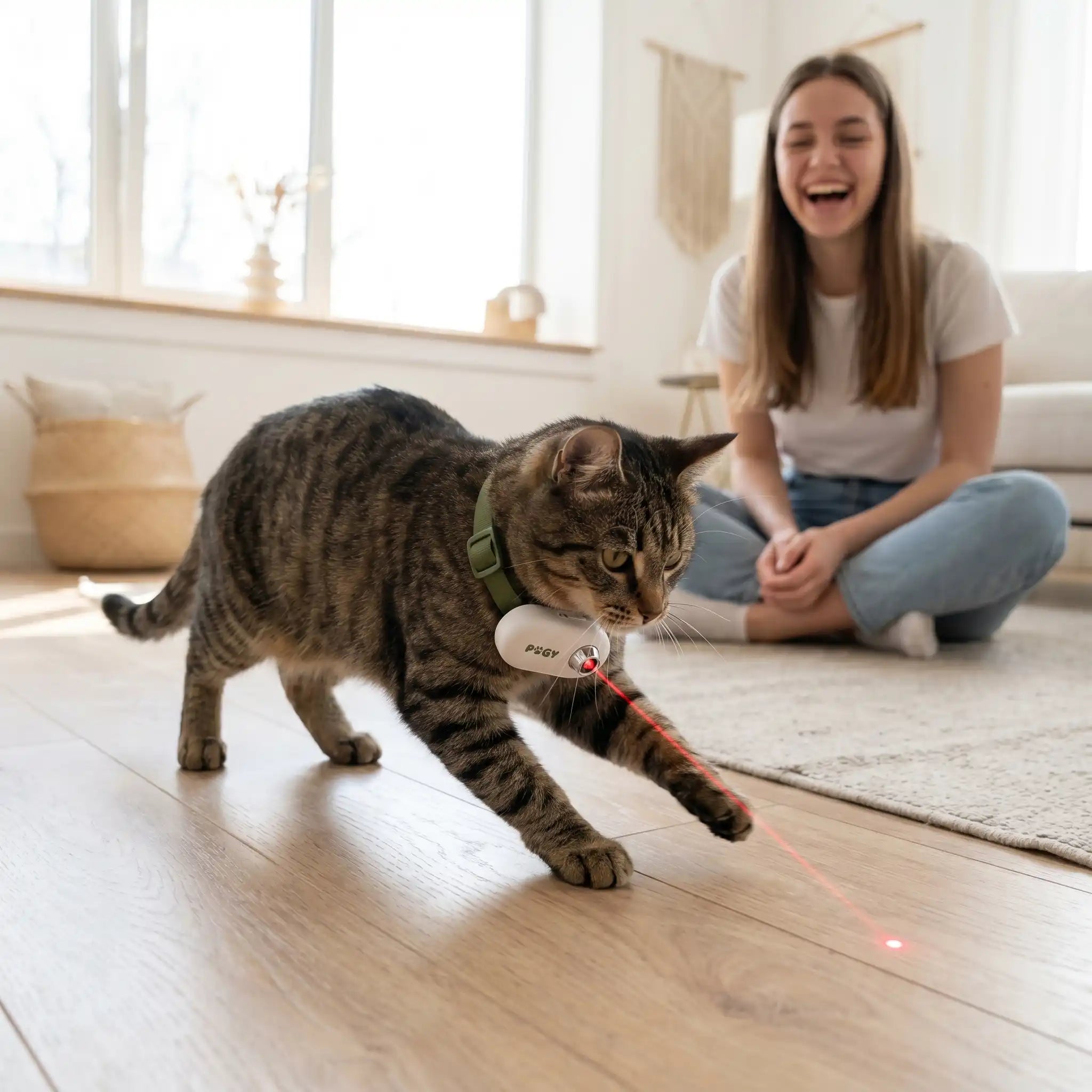 Coleira laser automática para gatos Pugy — vista lateral com ajuste de tamanho