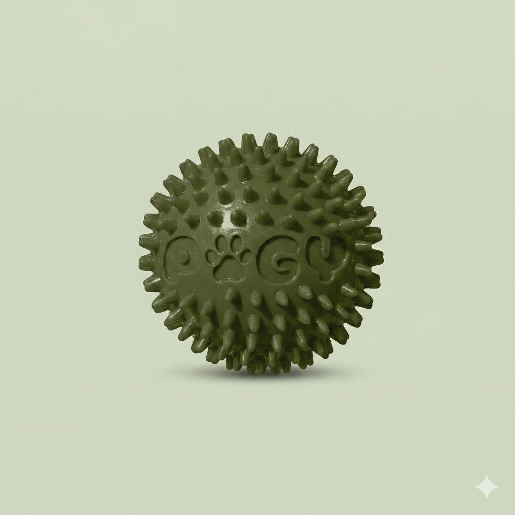 Pugy Border Collie Ball